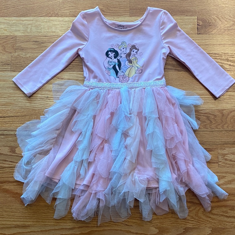 Disney Princess Pink and Tulle Dress